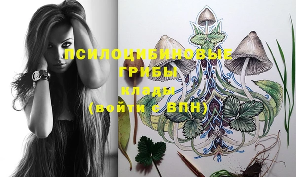 mix Алексеевка