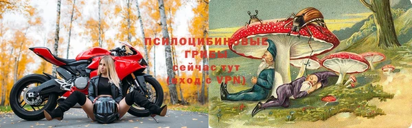 скорость Алексин