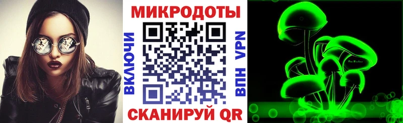 Псилоцибиновые грибы Cubensis  продажа наркотиков  Нерехта 